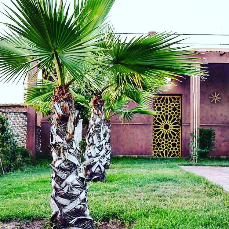 Riad Darga Rouge Ouled Bouzid 外观 照片